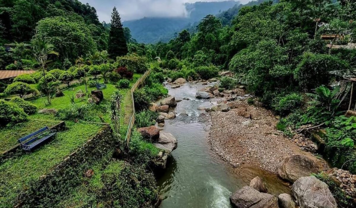 IMG-20240619-WA0425 (3)