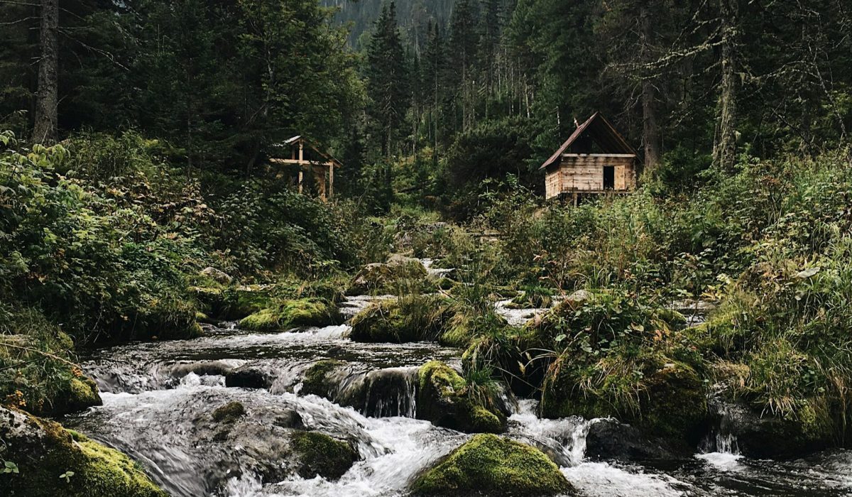 pexels-olga-shenderova-67505314-8537307 (1)